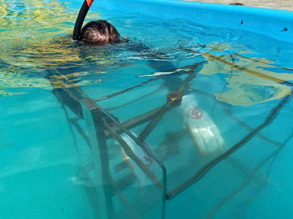 Vânia Melhado passa pelo protocolo de simulação de microgravidade em piscina na Missão Marte