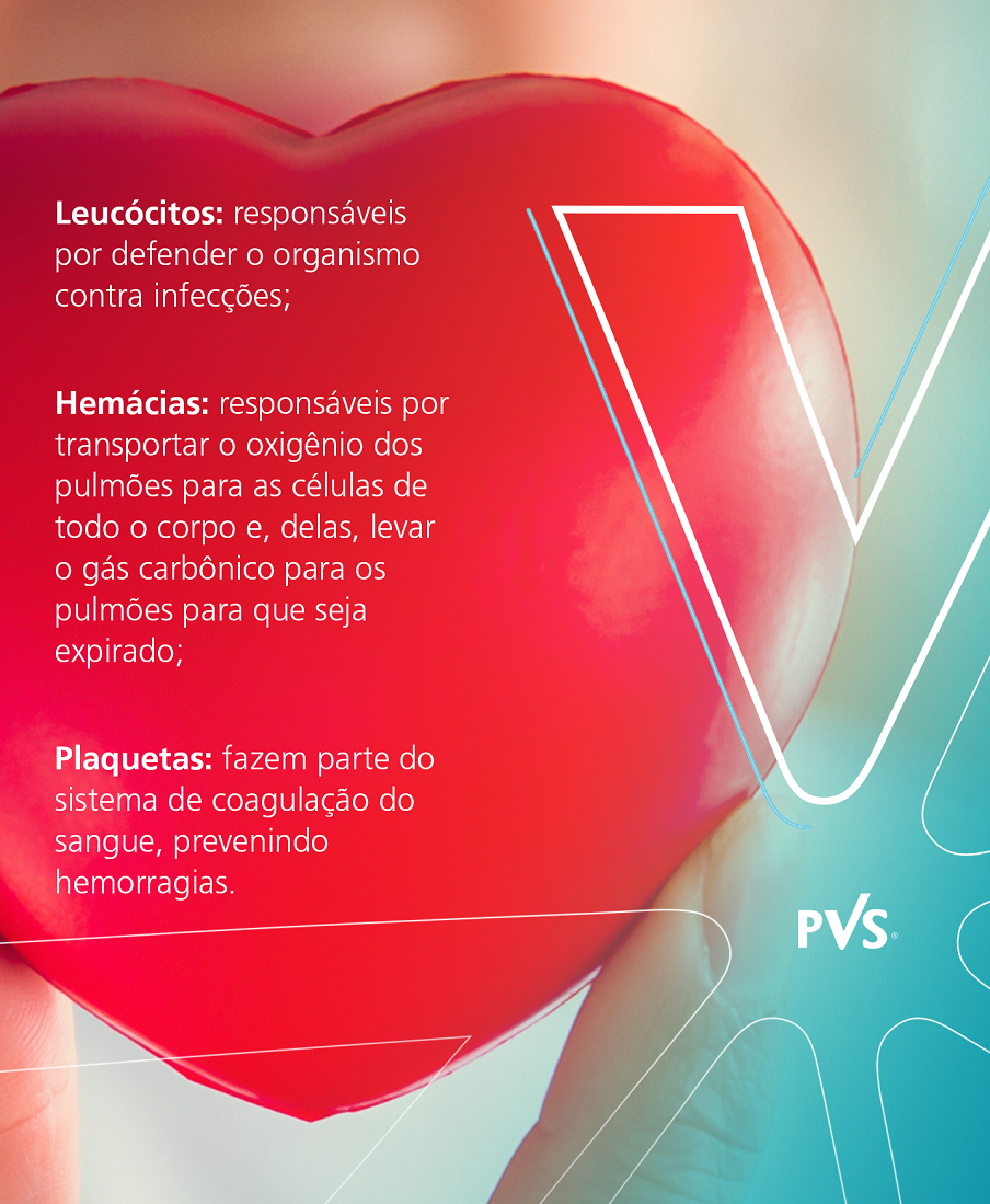 Coração ao fundo com dizeres explicando a função dos leucócitos, hemácias e plaquetas