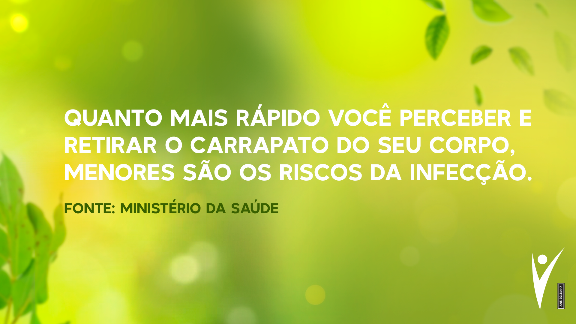 Quanto mais rápido você perceber e retirar o carrapato do seu corpo, menores são os riscos da infecção.