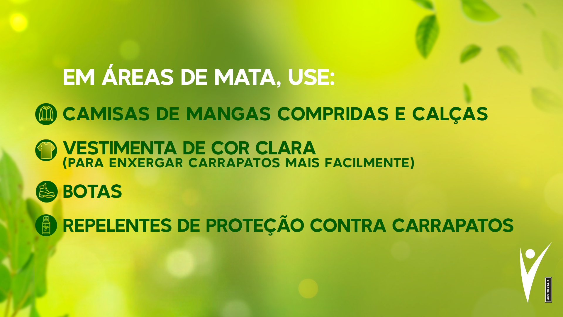 Dicas de como se proteger ao visitar áreas de mata.